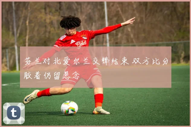 芬兰对北爱尔兰交锋结束 双方比分胶着仍留悬念