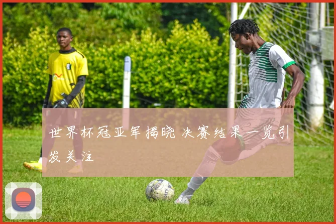 世界杯冠亚军揭晓 决赛结果一览引发关注
