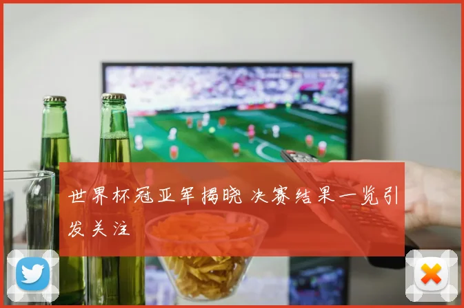 世界杯冠亚军揭晓 决赛结果一览引发关注