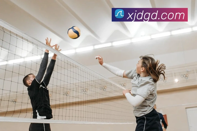 世界杯官网线上平台服务体系